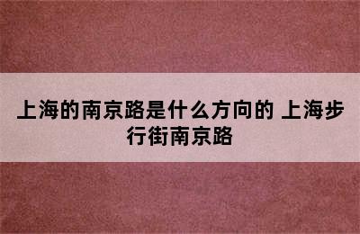 上海的南京路是什么方向的 上海步行街南京路